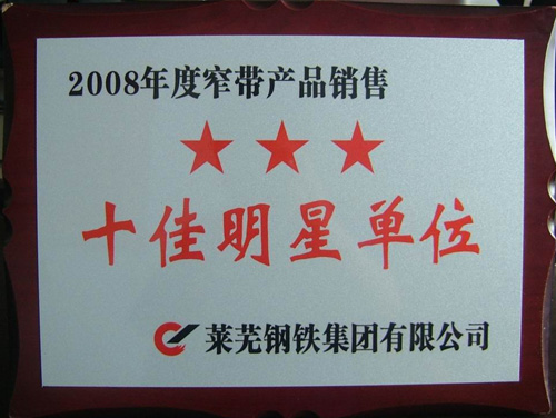 2008年度十佳明星單位